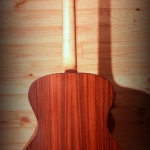 guitare Blues Hollow body