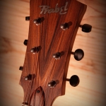 guitare Blues Hollow body