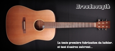 Folk Guitare Dreadnought acajou