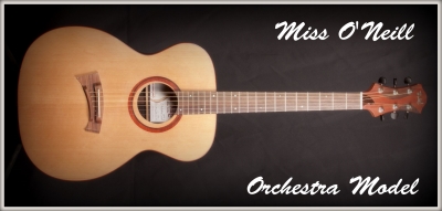 Guitare Folk OM palissandre