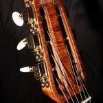 Guitare Jazz swing manouche Selmer