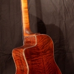 Guitare Jazz swing manouche Selmer