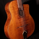 Guitare Jazz swing manouche Selmer