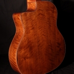 Guitare Jazz swing manouche Selmer