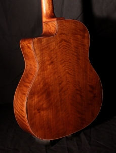 Guitare Jazz swing manouche Selmer