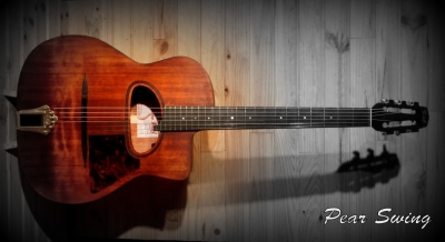 Guitare Jazz swing manouche Selmer