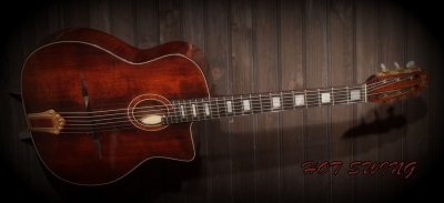 Guitare Jazz swing manouche Selmer
