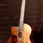 Guitare Jazz swing manouche Selmer