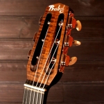 Guitare Jazz swing manouche Selmer