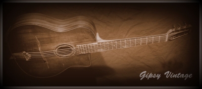 Guitare Jazz swing manouche Selmer