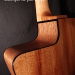 pan-coupé guitare luthier artisan